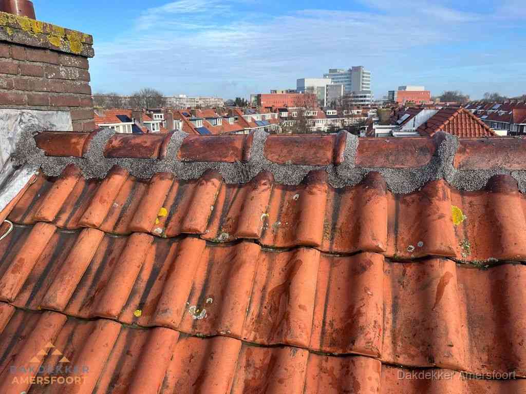 Nieuw bitumen plat dak met uitzicht over woonwijk in Amersfoort