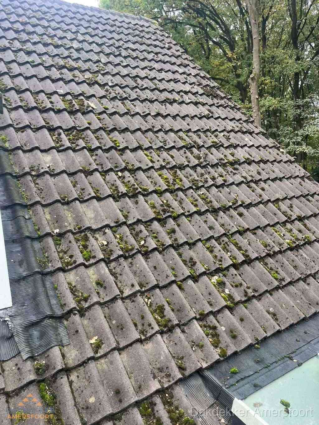 Verweerd pannendak met mosgroei dat renovatie nodig heeft in Amersfoort