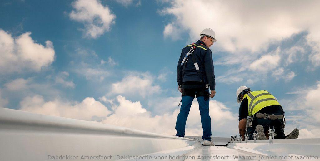 Dakinspectie Voor Bedrijven Amersfoort