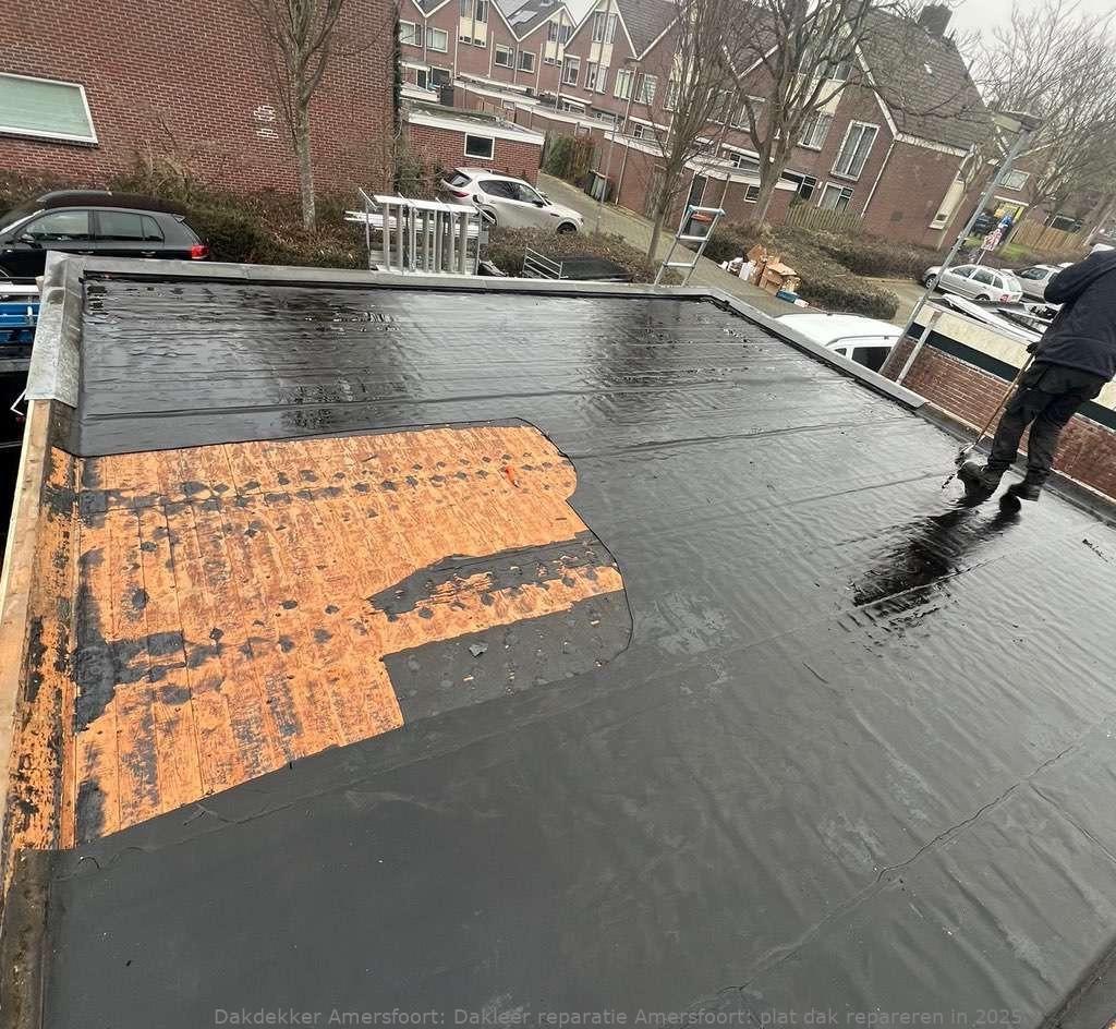 Dakleer Reparatie Amersfoort