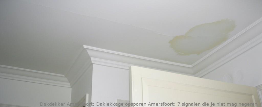 Daklekkage Opsporen Amersfoort 1