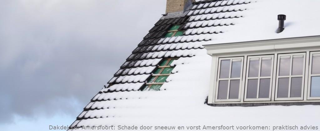 Schade Door Sneeuw En Vorst Amersfoort
